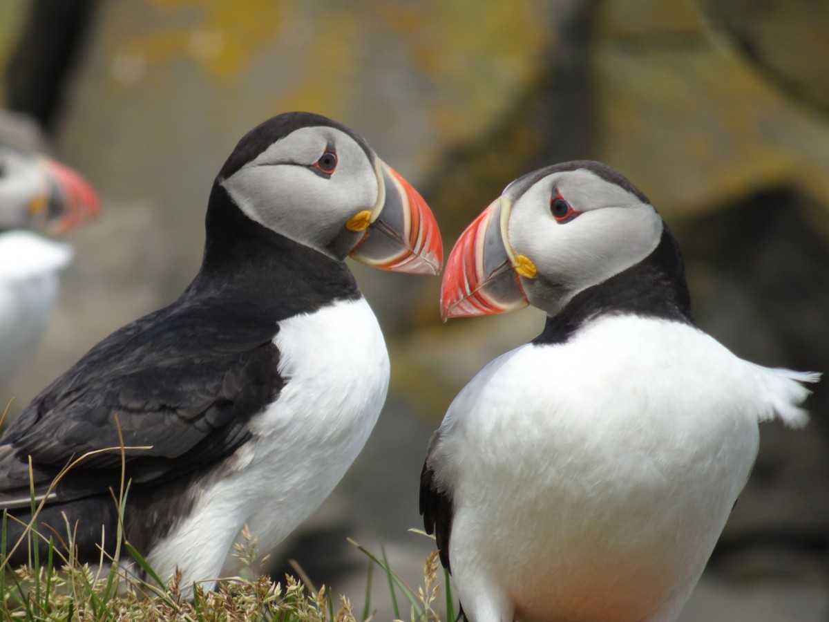 dsc02225 Islande Camper en famille | Blog VOYAGES ET ENFANTS