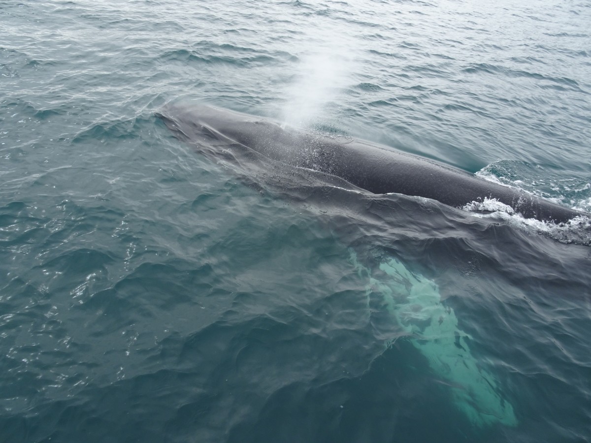 dsc03129 Islande Camper en famille | Blog VOYAGES ET ENFANTS