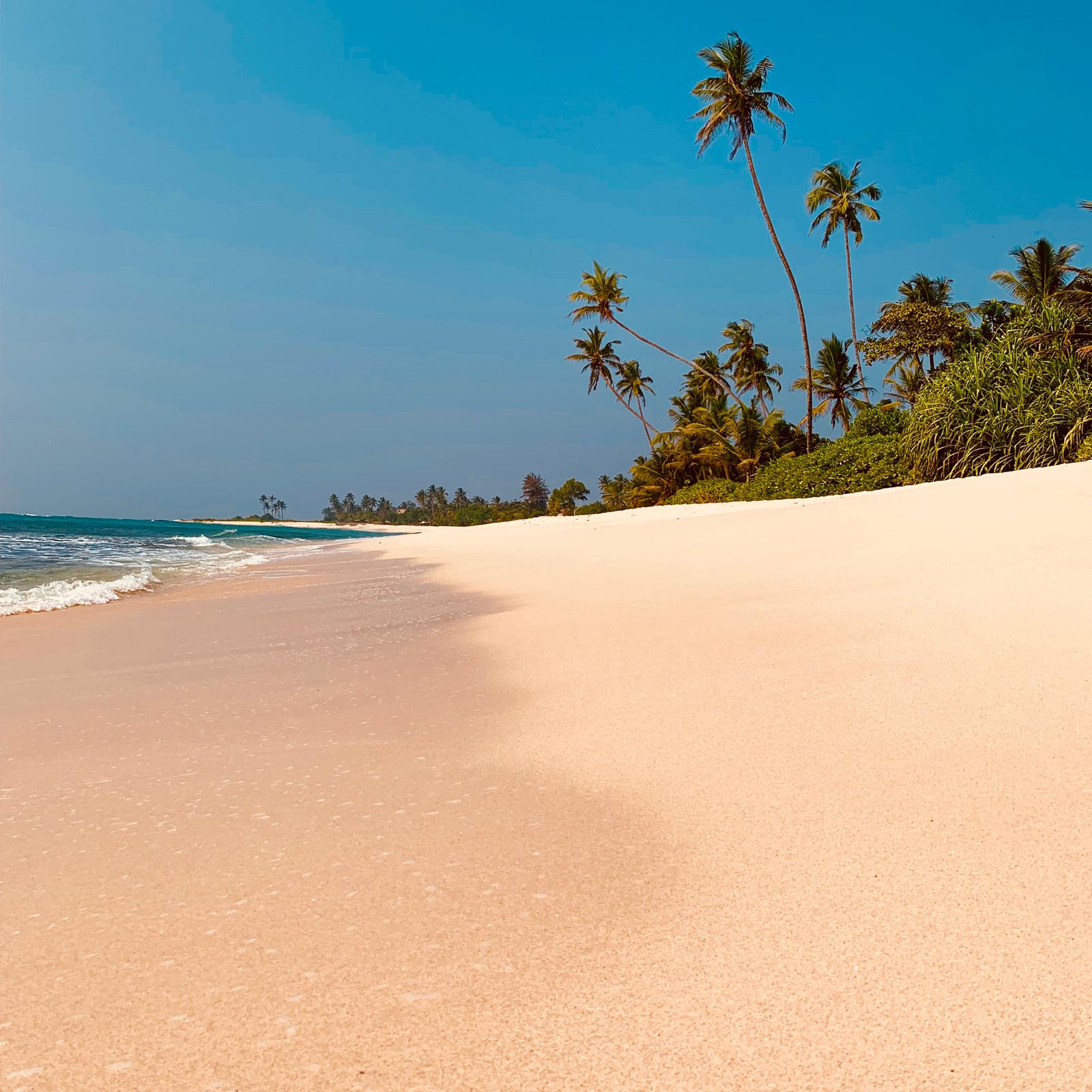 Sud du Sri Lanka en famille