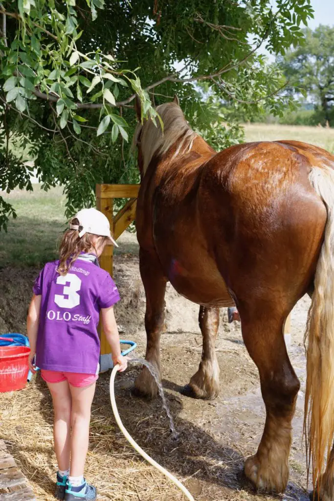 Roulotte en famille dans le Tarn | Blog VOYAGES ET ENFANTS