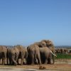 2 semaines itinéraire Ecosse en famille en maman solo