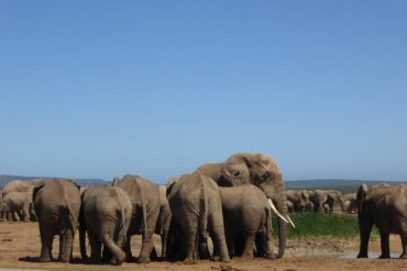 liste de voyage sud avec enfant