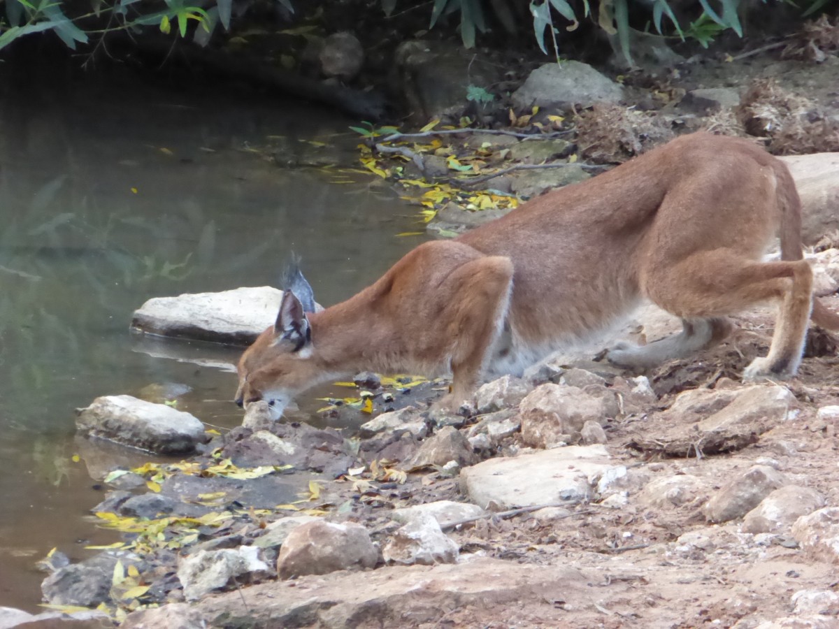 p1010147 Road trip Afrique du Sud en famille | Blog VOYAGES ET ENFANTS