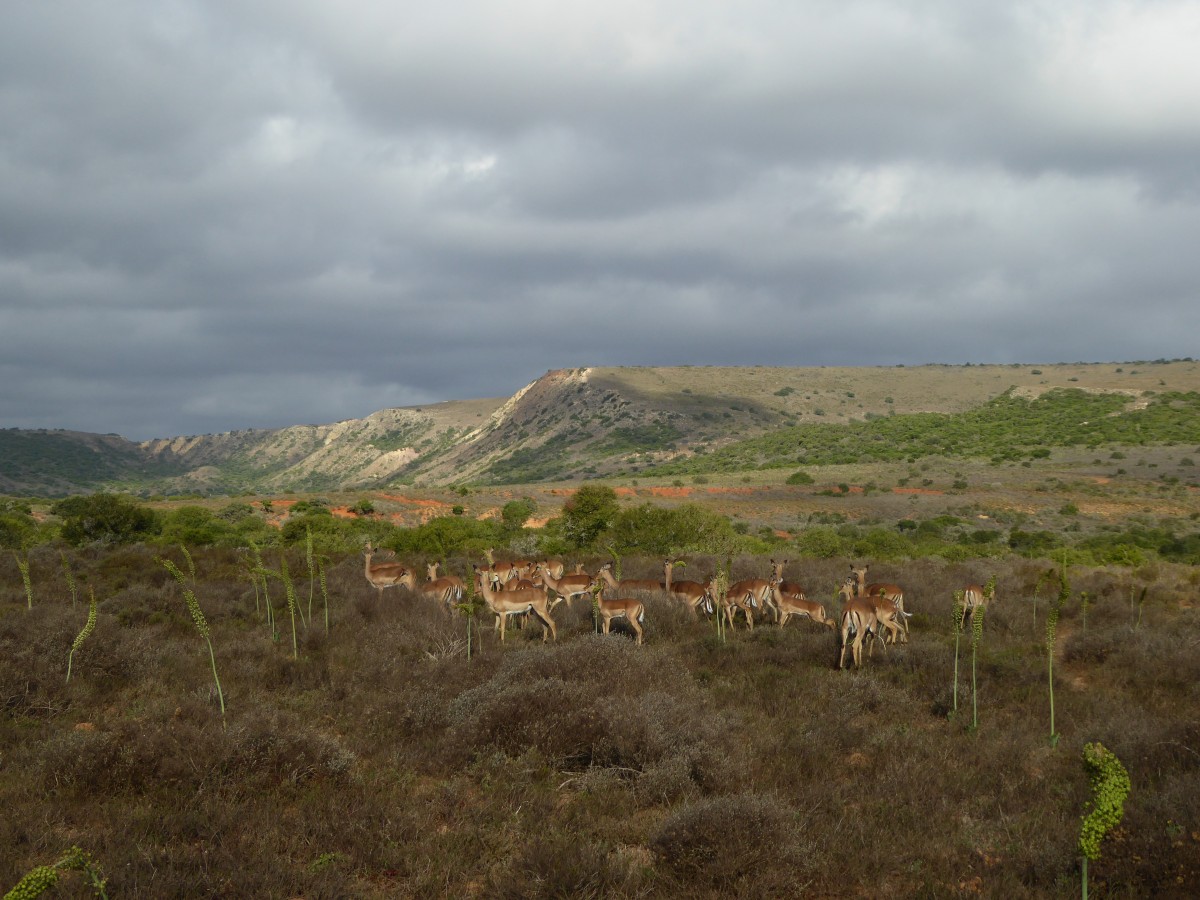 p1010309 Road trip Afrique du Sud en famille | Blog VOYAGES ET ENFANTS