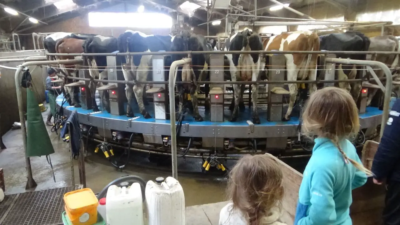 Week-end dans Puy-de Dôme famille