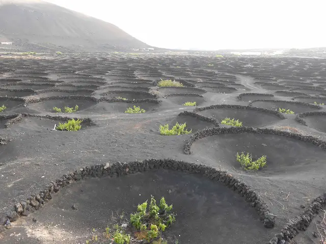 Voyage Lanzarote famille