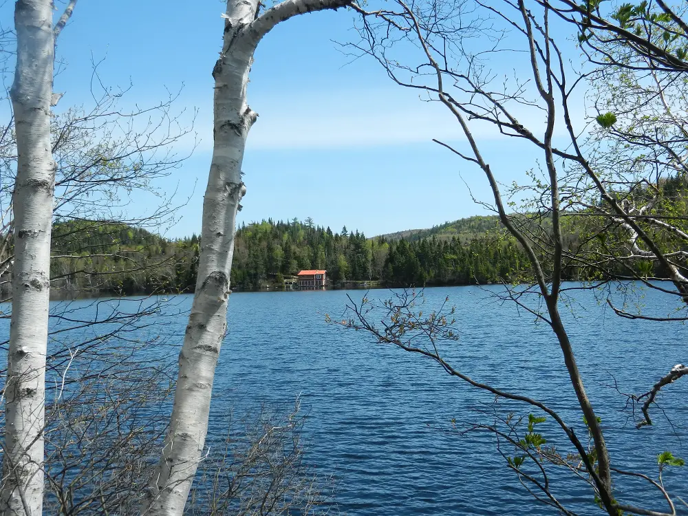 Québec 15 jours en famille - Lac St Jean