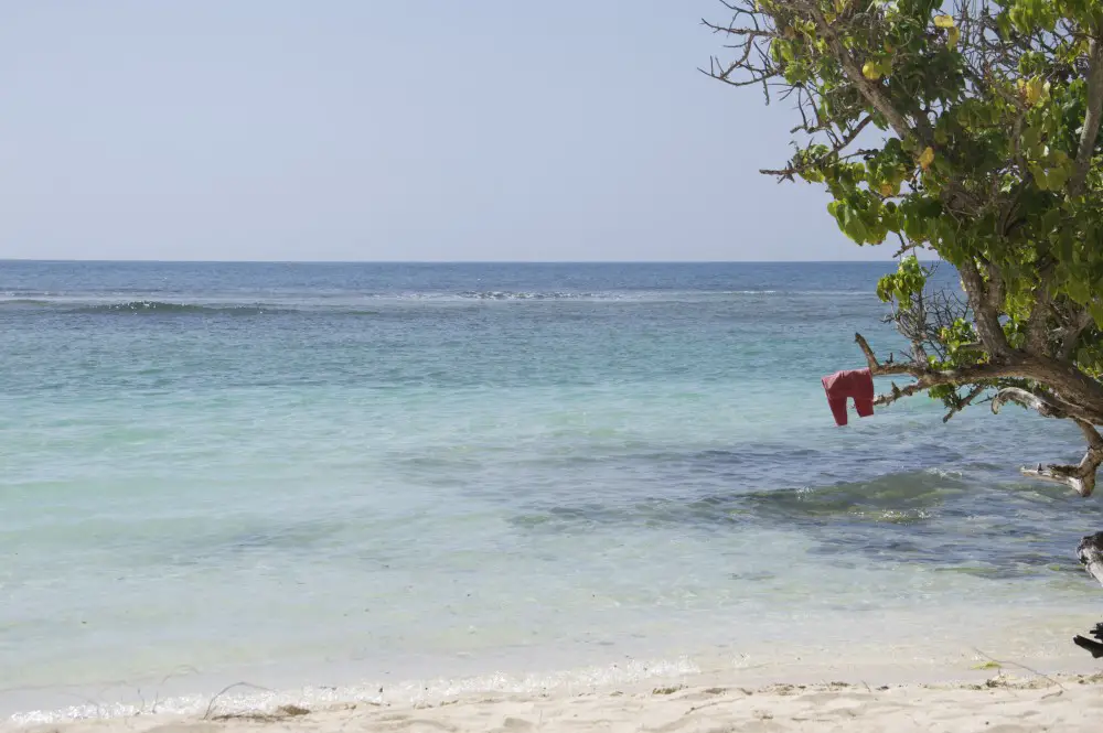 DSC 1250 La Guadeloupe avec enfants séjour de rêve en famille | Blog VOYAGES ET ENFANTS