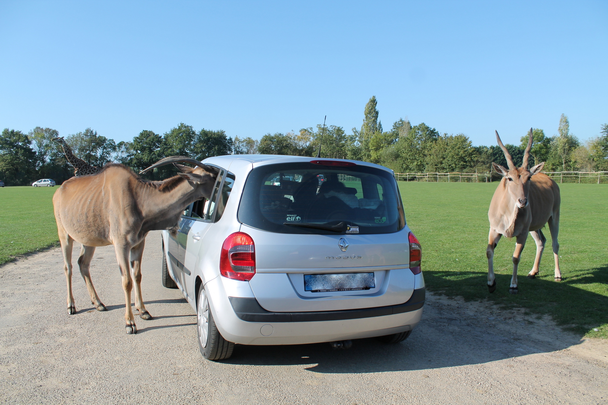 IMG 7507bis Visiter Planète Sauvage en famille | Blog VOYAGES ET ENFANTS