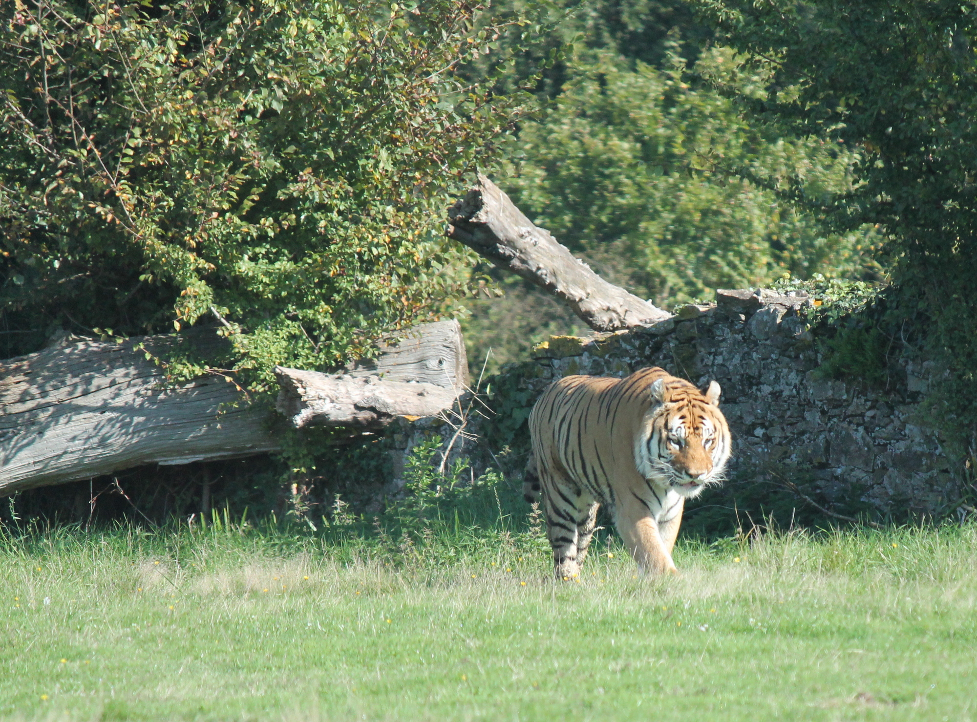 IMG 7556 Visiter Planète Sauvage en famille | Blog VOYAGES ET ENFANTS