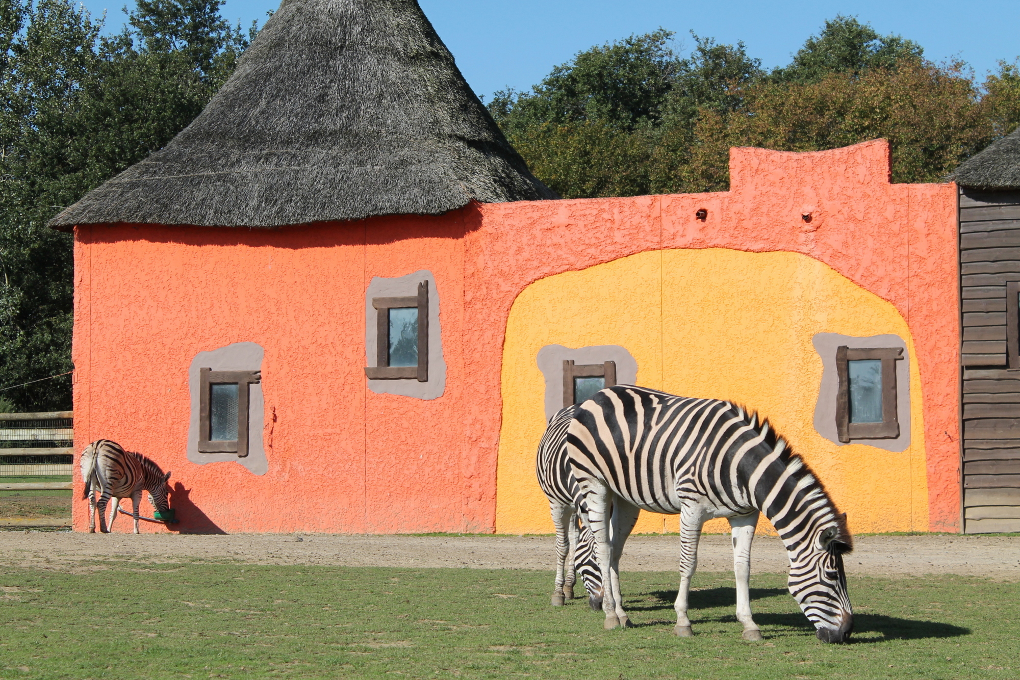 IMG 7590 Visiter Planète Sauvage en famille | Blog VOYAGES ET ENFANTS