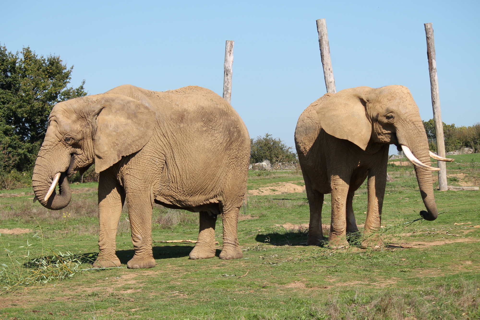 IMG 7647 Visiter Planète Sauvage en famille | Blog VOYAGES ET ENFANTS